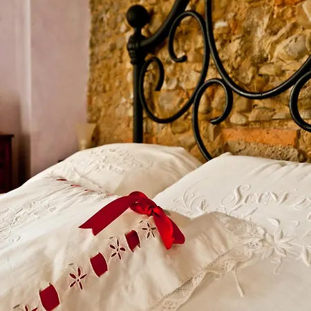 - Il Colle Di Sotto *